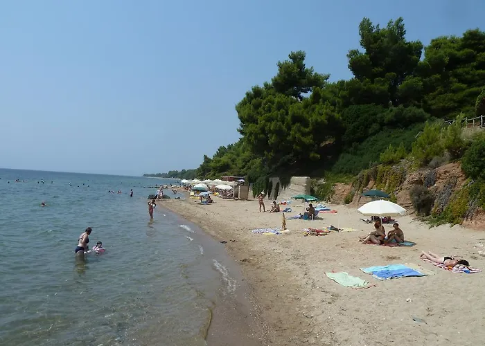 Dimi * Metamorfosi (Sithonia)
