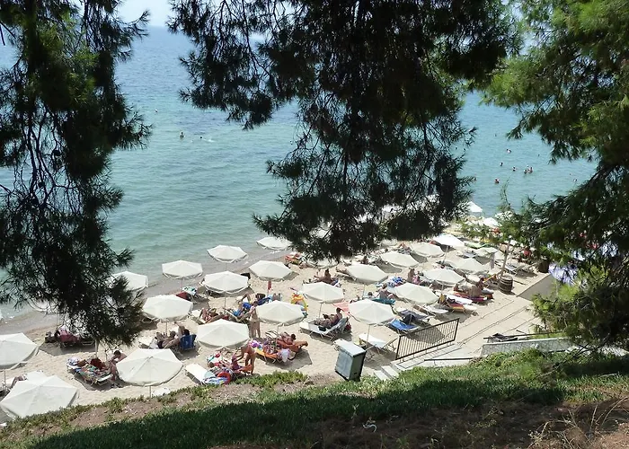 Apartament Dimi *